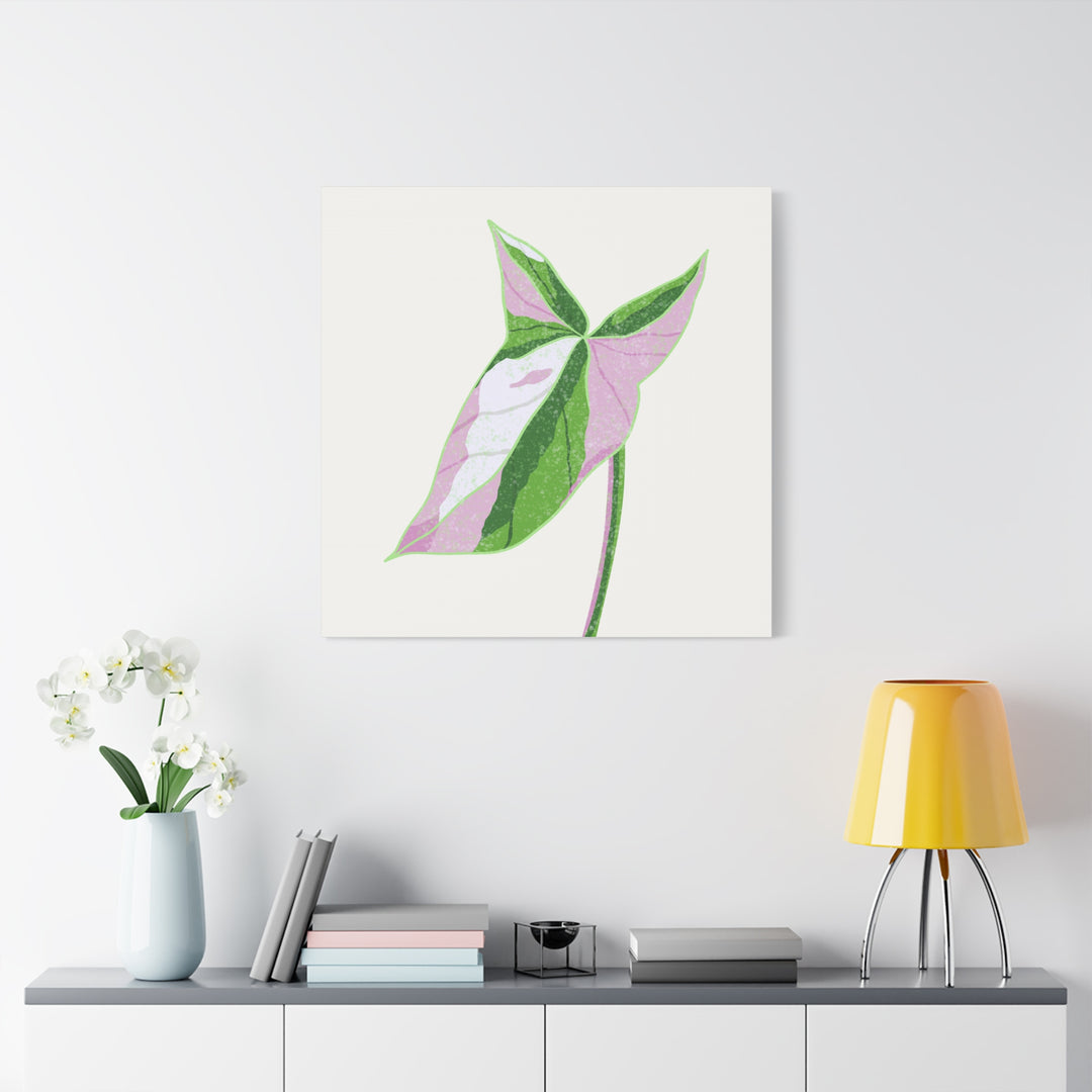 Syngonium Tricolor Canvas Print – Botanical Wall Art - The Potted Pixel