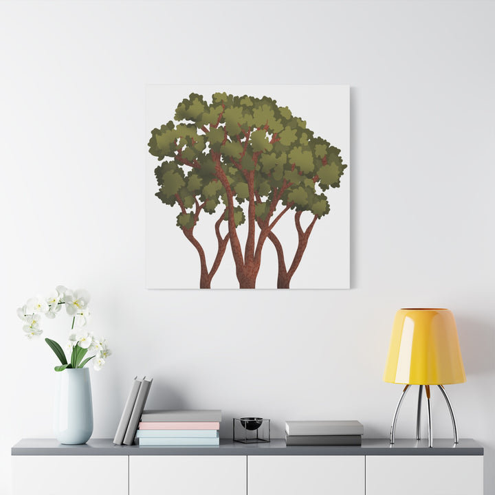 Pacific Madrone Canvas Print – Wall Art