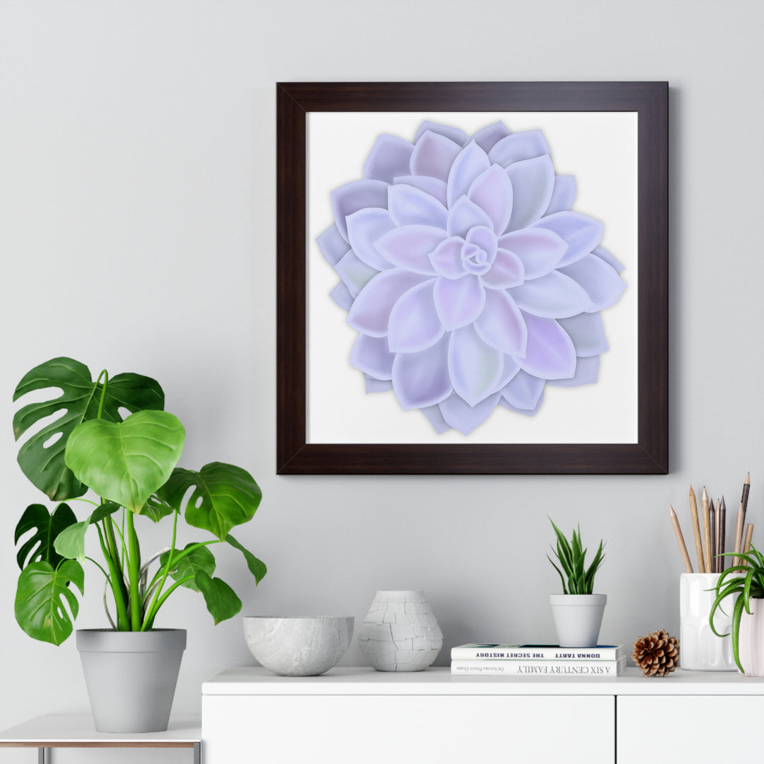 Graptopetalum Murasaki Succulent Framed Print – Botanical Wall Art - The Potted Pixel