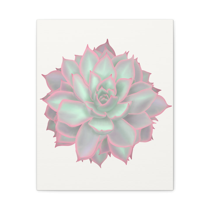 Echeveria Violet Queen Canvas Wall Art Rosette Succulent Print With Matte Finish