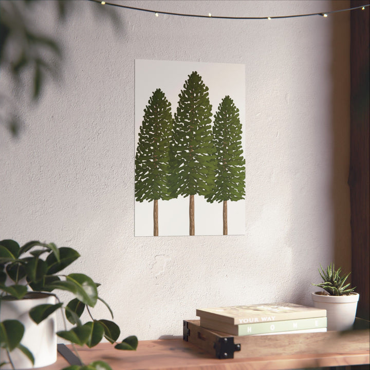 Ponderosa Pine Print – Unframed Wall Art