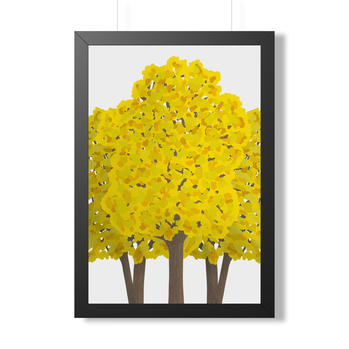 Big Leaf Maple Framed Print – Wall Art