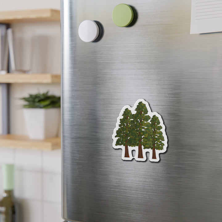 Coast Redwoods Magnet