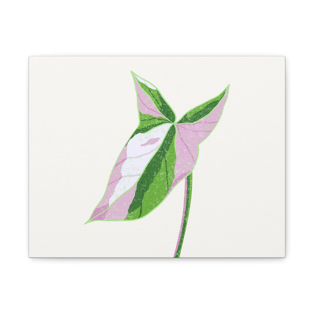 Syngonium Tricolor Canvas Print – Botanical Wall Art - The Potted Pixel