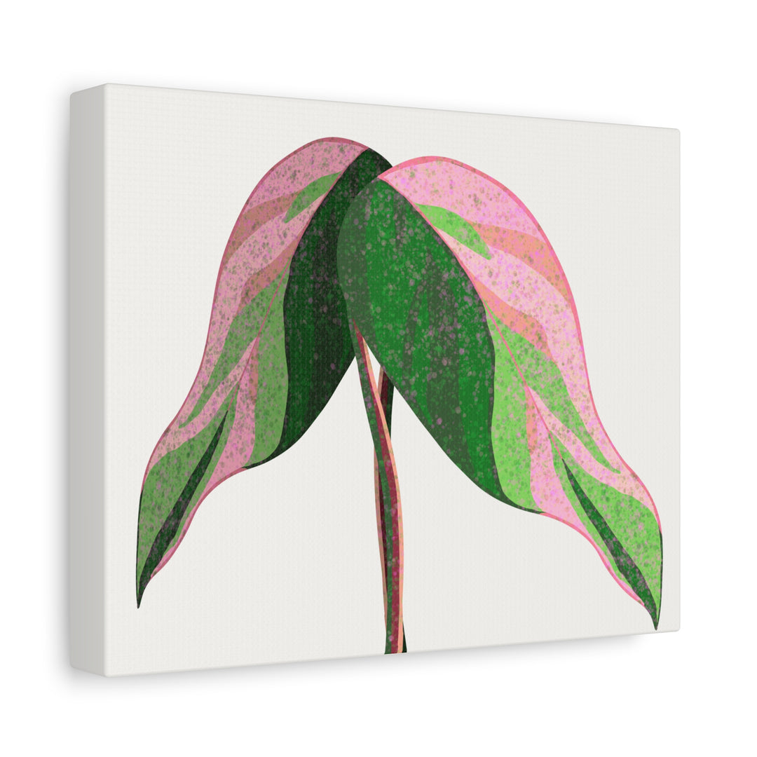 Pink Princess Philodendron Canvas Print Botanical Wall Art For Indoor Decor Modern Living Room Poster
