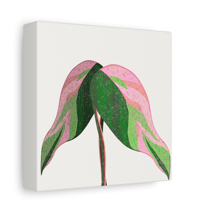 Pink Princess Philodendron Canvas Print Botanical Wall Art For Indoor Decor Modern Living Room Poster