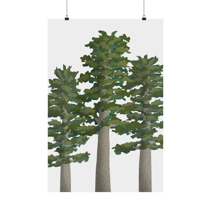 Sitka Spruce Print – Unframed Wall Art