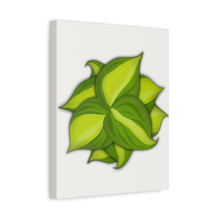 Philodendron Brasil Canvas Print Matte Stretched Canvas Indoor Plant Art For Modern Greenery Decor