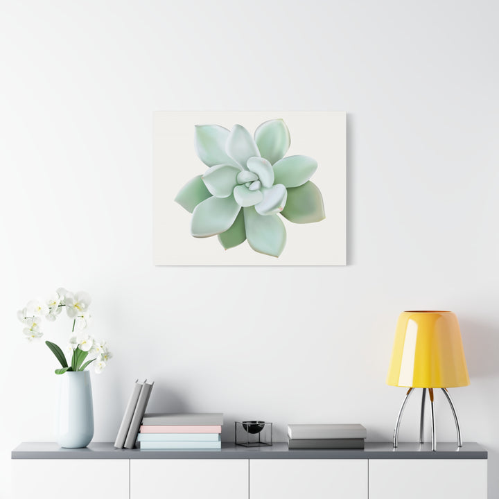 Succulent Canvas Art Pachyveria Haagei Print On Matte Finish Canvas Botanical Wall Decor