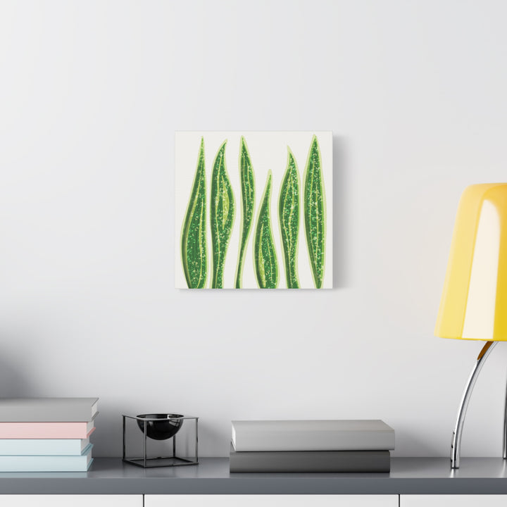 Snake Plant Canvas Print Matte 1.25 Inch Stretch Canvas Wall Art For Living Room Decor