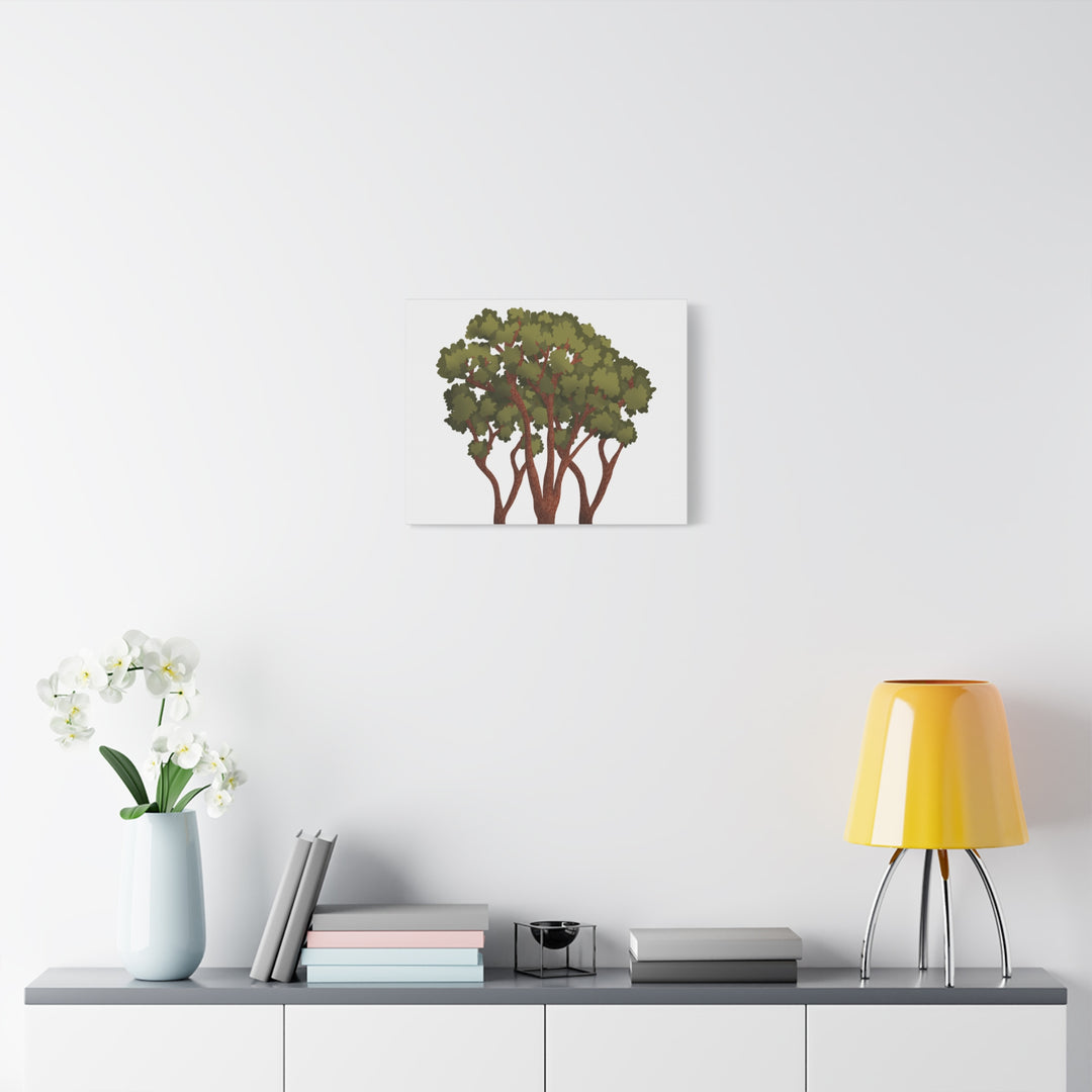 Pacific Madrone Canvas Print – Wall Art