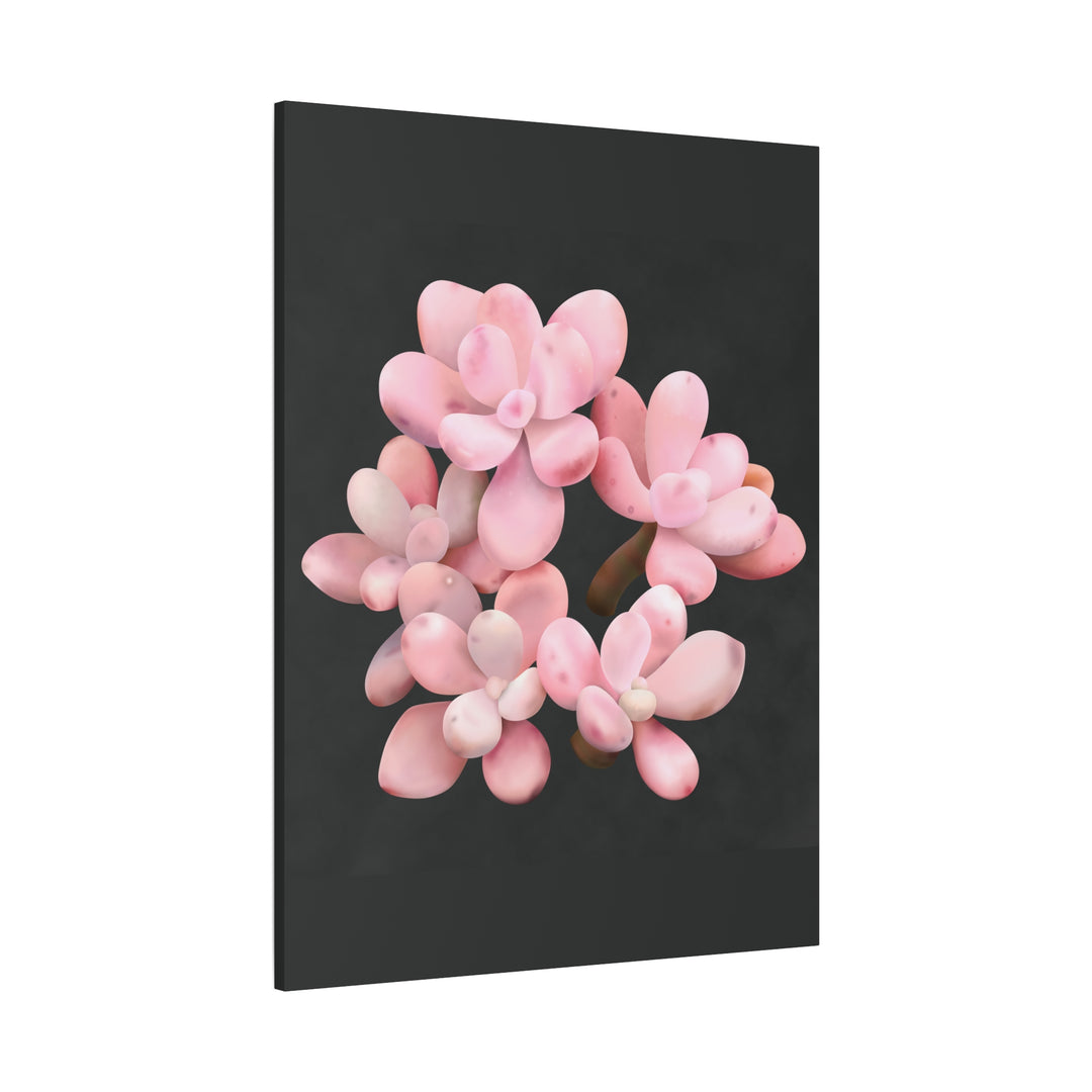 Pink Moonstone Canvas Print – Botanical Wall Art