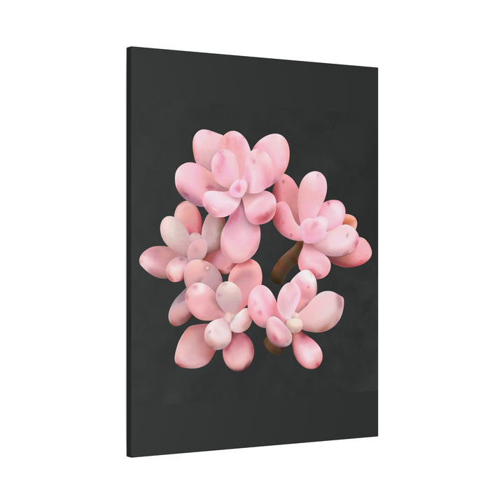 Pink Moonstone Canvas Print – Botanical Wall Art