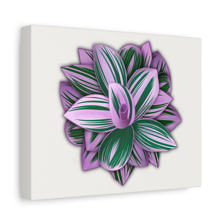 Tradescantia Nanouk Canvas Botanical Wall Art Print Pink Green Foliage On Stretched Cotton Canvas