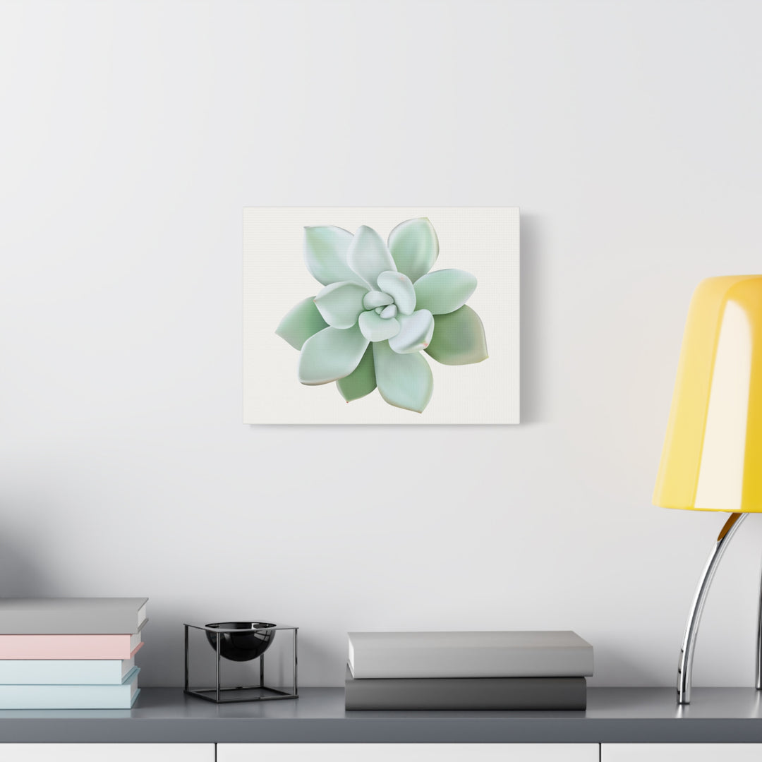 Succulent Canvas Art Pachyveria Haagei Print On Matte Finish Canvas Botanical Wall Decor