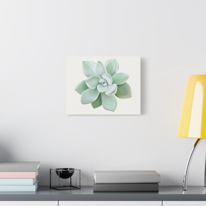 Succulent Canvas Art Pachyveria Haagei Print On Matte Finish Canvas Botanical Wall Decor