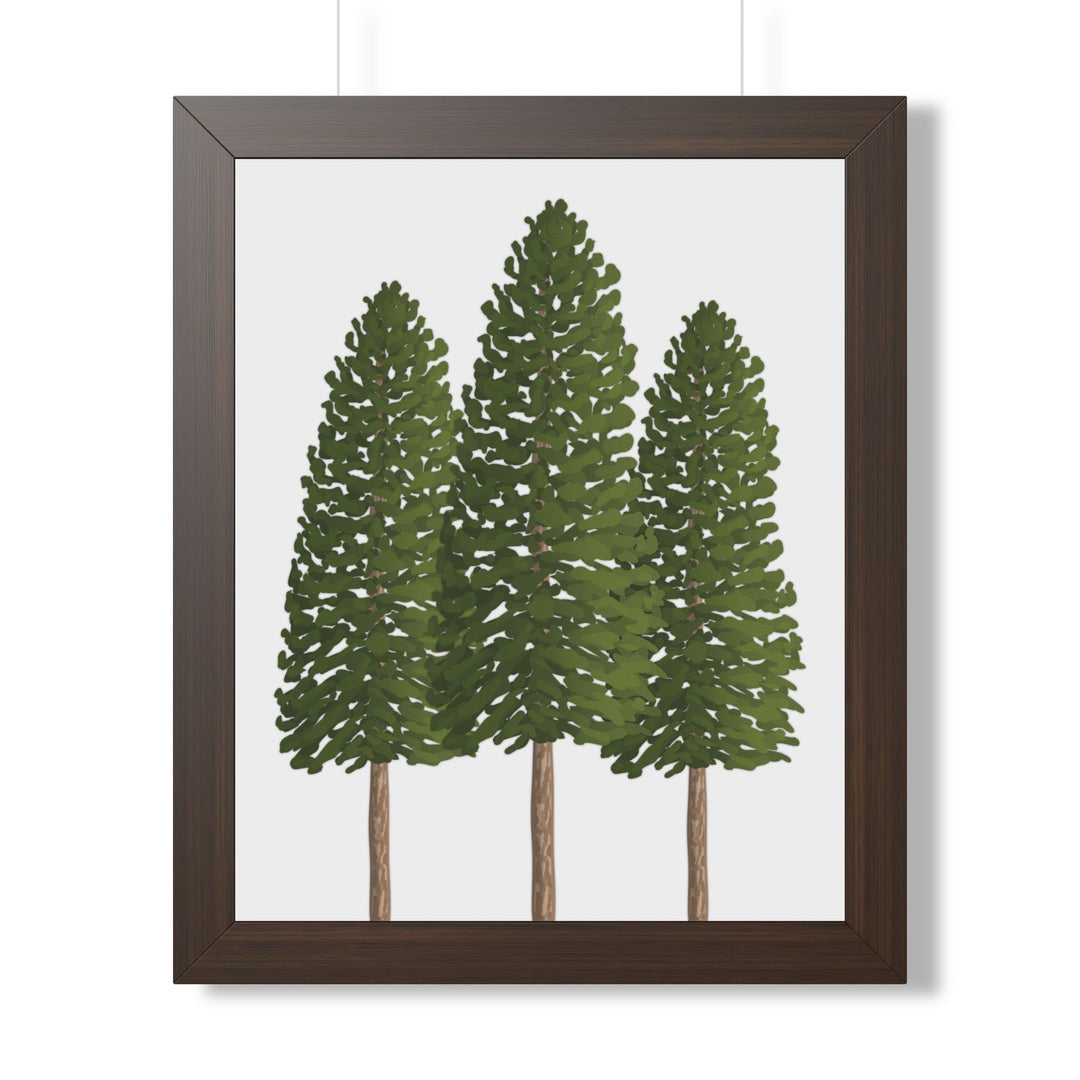 Ponderosa Pine Framed Print – Wall Art