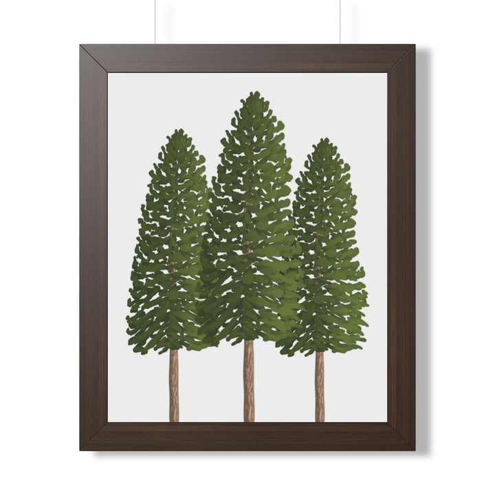 Ponderosa Pine Framed Print – Wall Art