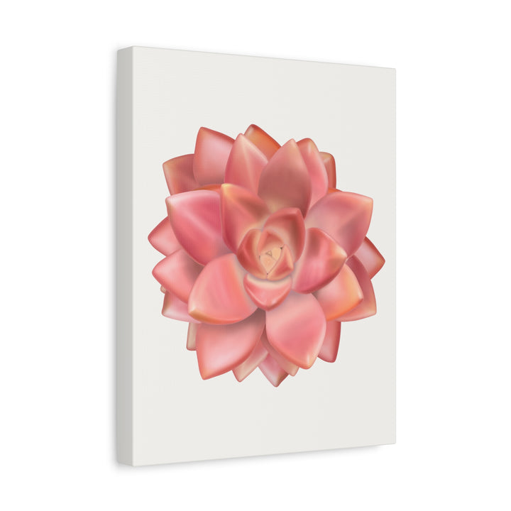 Succulent Canvas Art California Sunset Rosette Botanical Wall Art Print The Potted Pixel