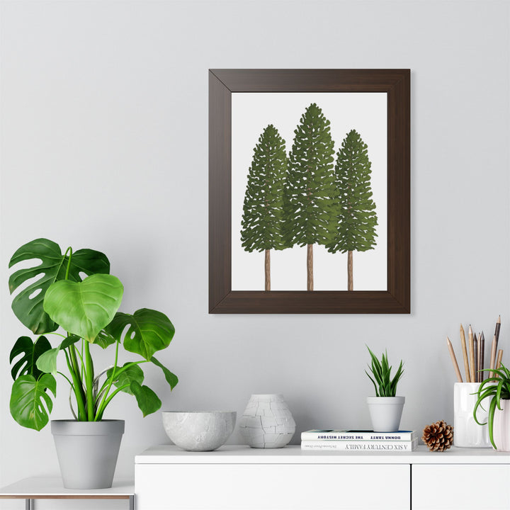 Ponderosa Pine Framed Print – Wall Art