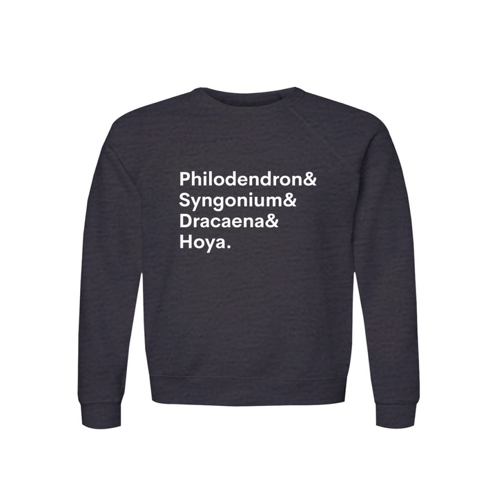 Apparel-DTG-Sweatshirt-Bella-3901-S-DarkGreyHeather-Unisex-CF-20260810201940395