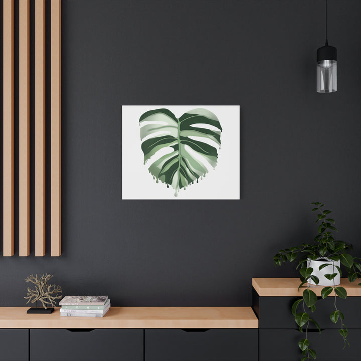 Melting Monstera Albo Canvas Large Indoor Wall Art Print Matte Finish Tropical Home Decor