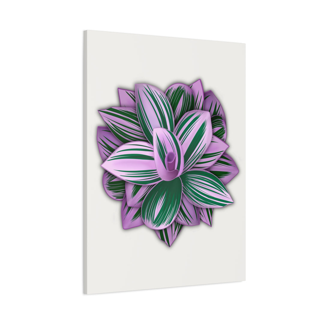 Tradescantia Nanouk Canvas Botanical Wall Art Print Pink Green Foliage On Stretched Cotton Canvas