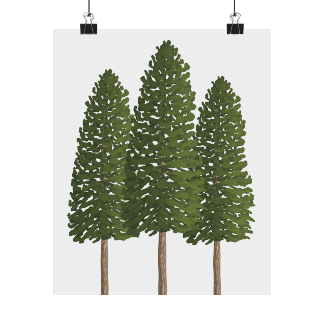 Ponderosa Pine Print – Unframed Wall Art