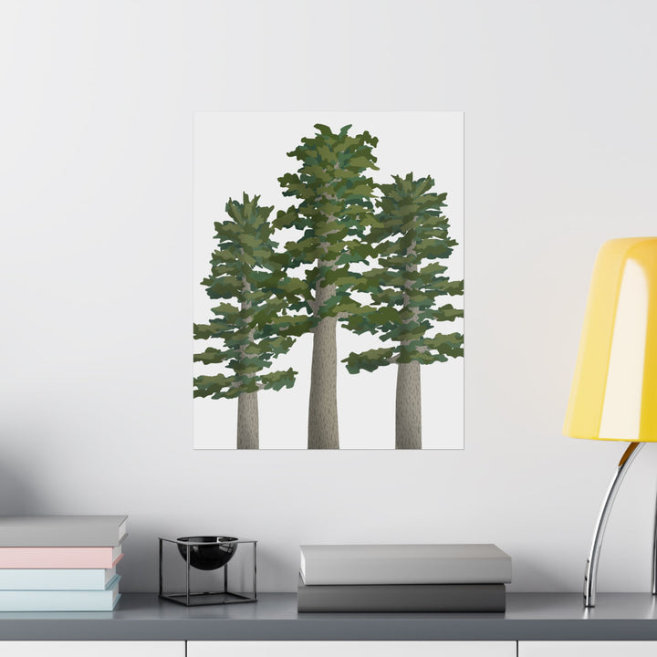 Sitka Spruce Print – Unframed Wall Art