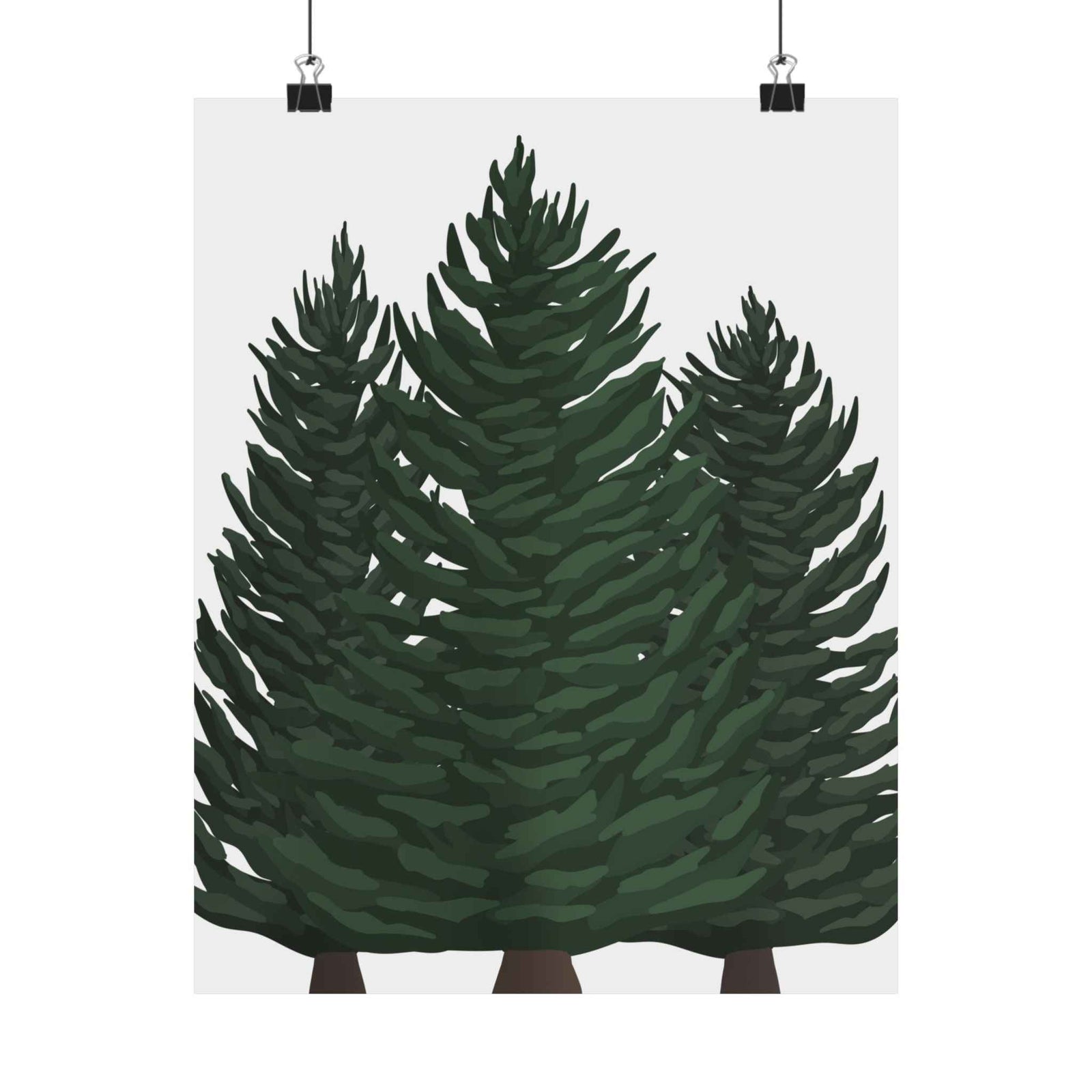 Douglas Fir Print – Unframed Wall Art