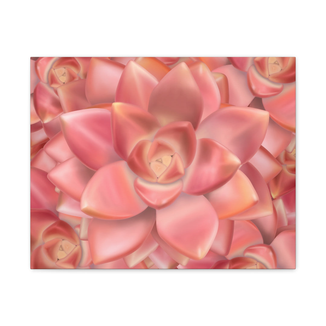 Graptosedum California Sunset Succulent Canvas Print – Botanical Wall Art - The Potted Pixel