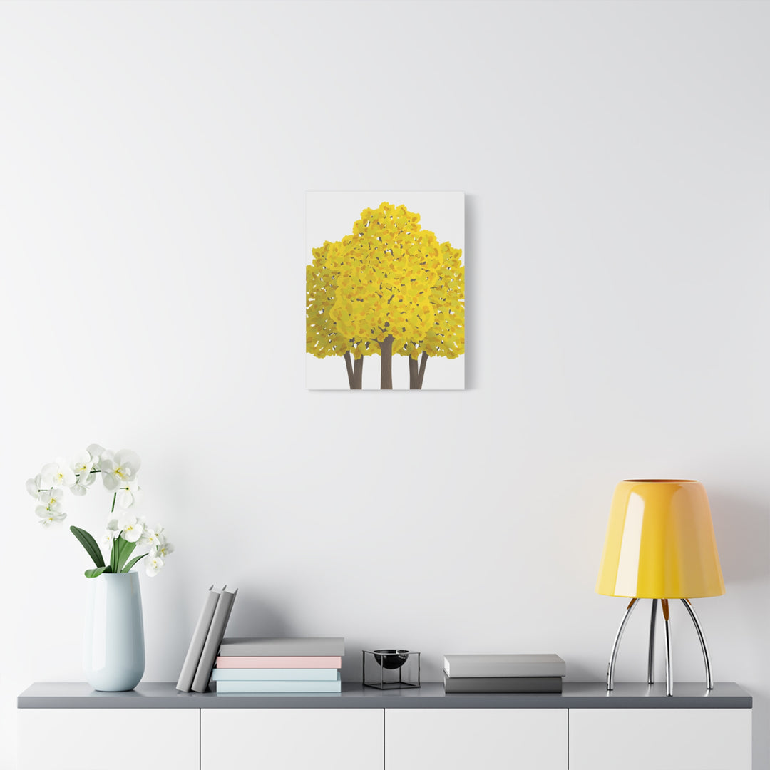 Big Leaf Maple Canvas Print – Wall Art