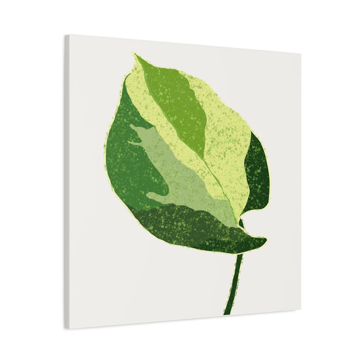 Manjula Pothos Botanical Canvas Print Matte Finish Stretched Canvas Wall Art 1.25 Inch Depth