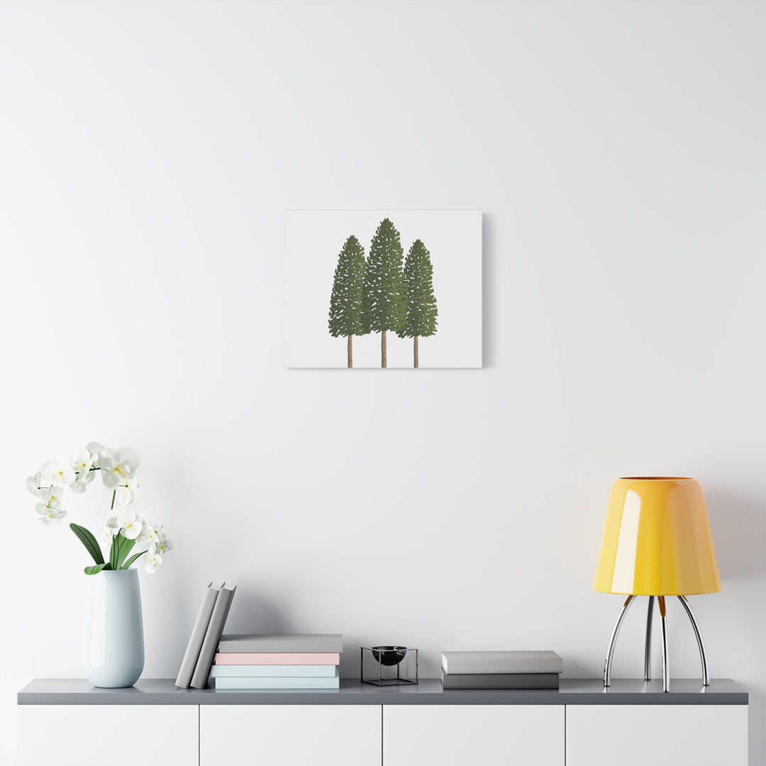 Three Ponderosa Pine Canvas Wall Art Matte Stretched Print Minimalist Forest Landscape Decor