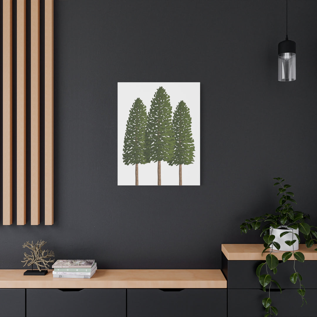 Three Ponderosa Pine Canvas Wall Art Matte Stretched Print Minimalist Forest Landscape Decor