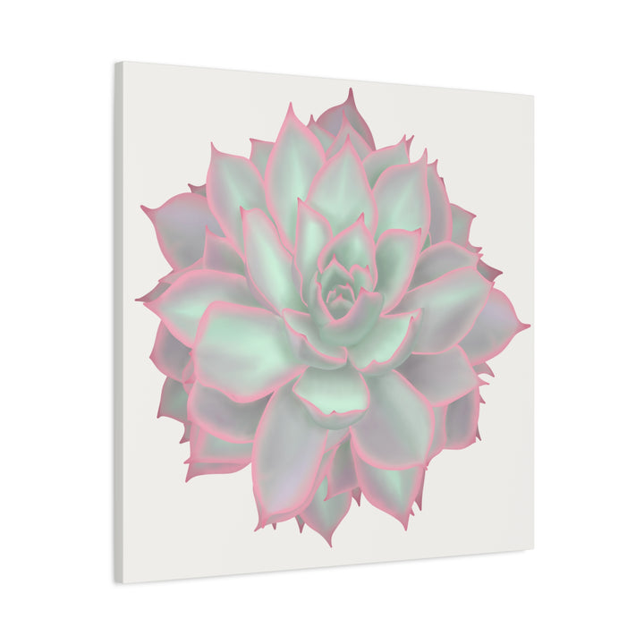Echeveria Violet Queen Canvas Wall Art Rosette Succulent Print With Matte Finish