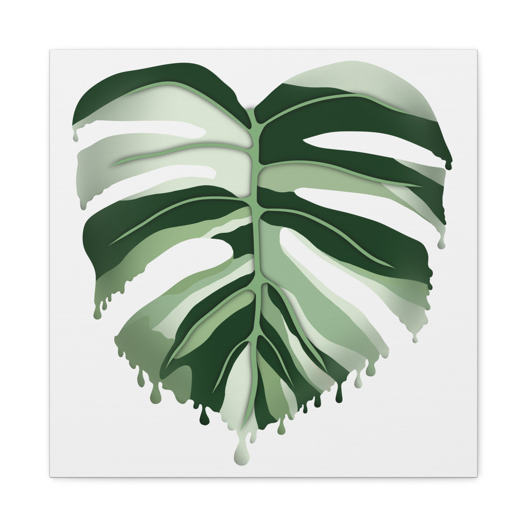 Melting Monstera Albo Canvas Large Indoor Wall Art Print Matte Finish Tropical Home Decor