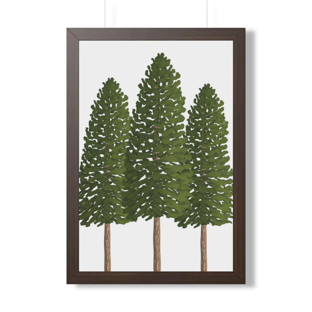 Ponderosa Pine Framed Print – Wall Art