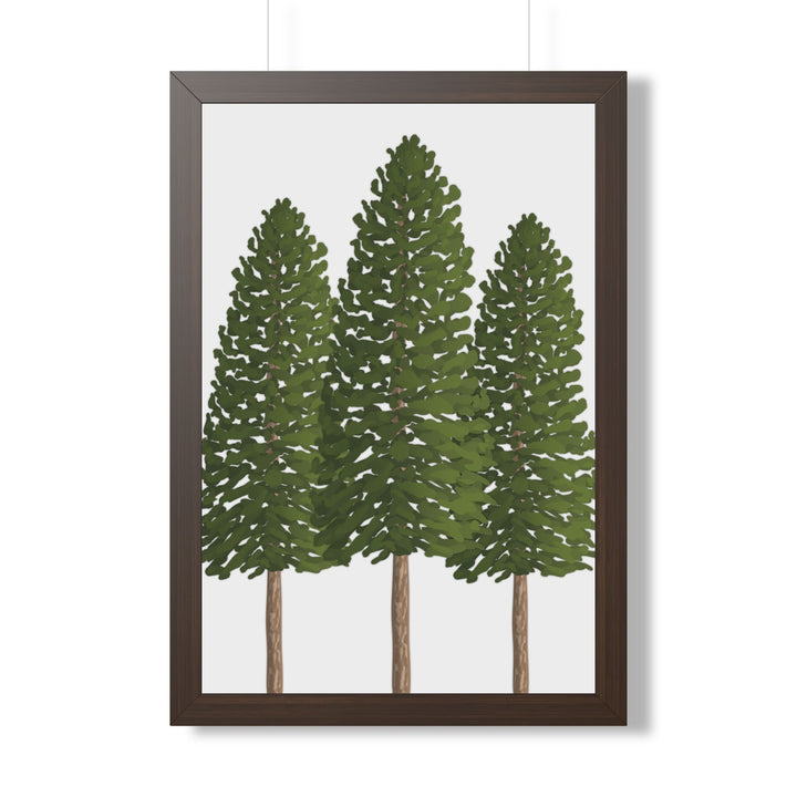 Ponderosa Pine Framed Print – Wall Art