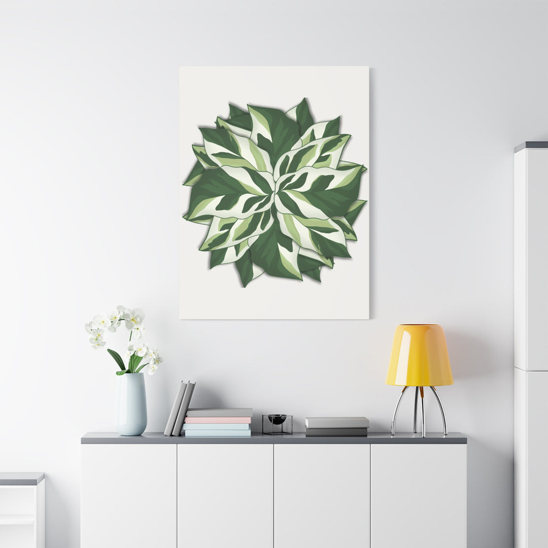 Calathea White Fusion Canvas Botanical Art Print On Stretched Cotton Canvas For Indoor Wall Decor