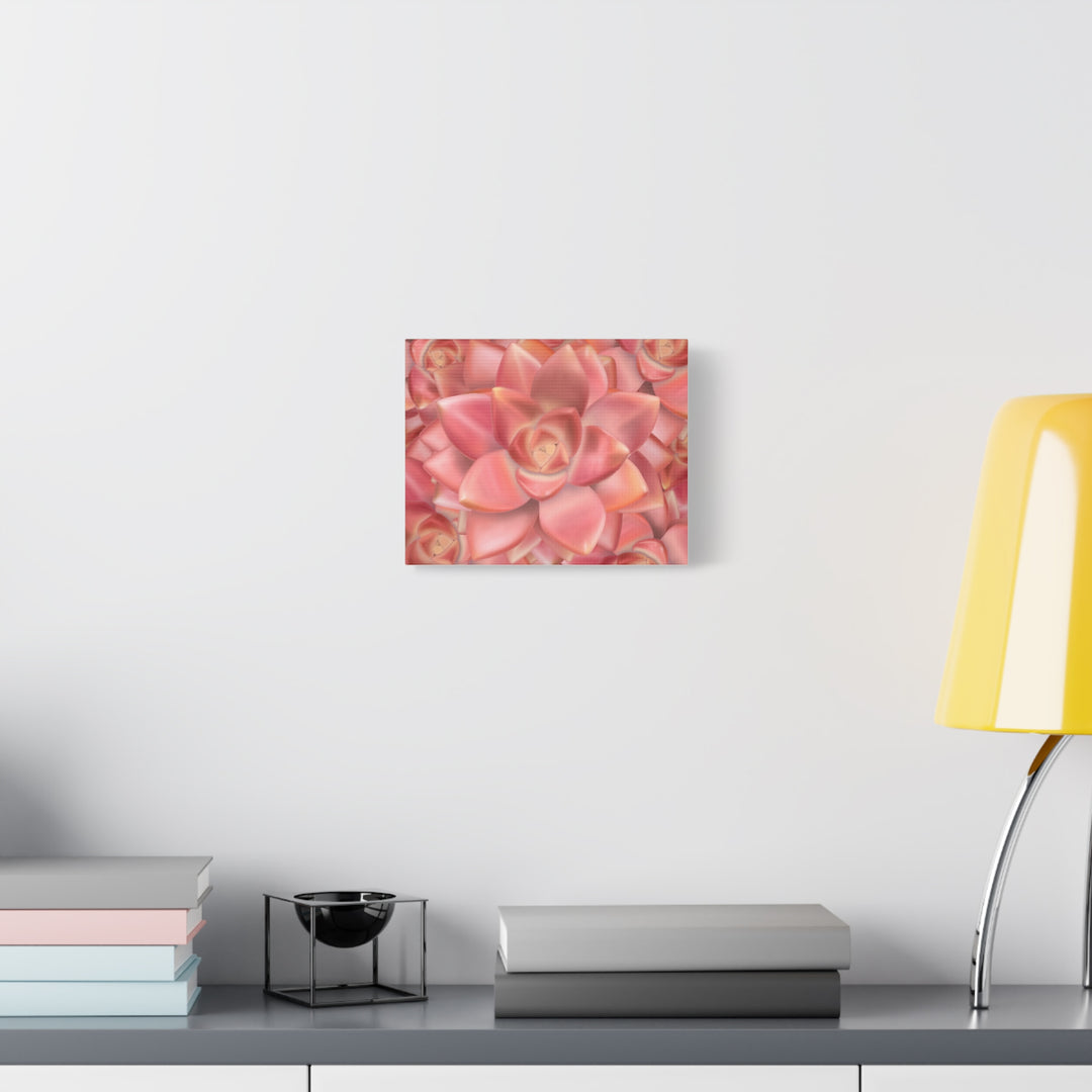 Graptosedum California Sunset Succulent Canvas Print – Botanical Wall Art - The Potted Pixel