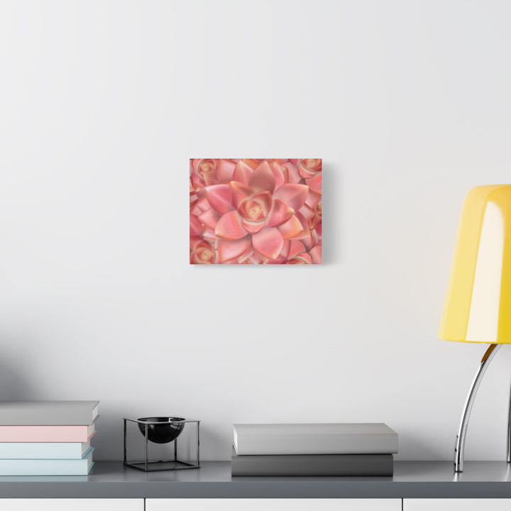 Graptosedum California Sunset Succulent Canvas Print – Botanical Wall Art - The Potted Pixel