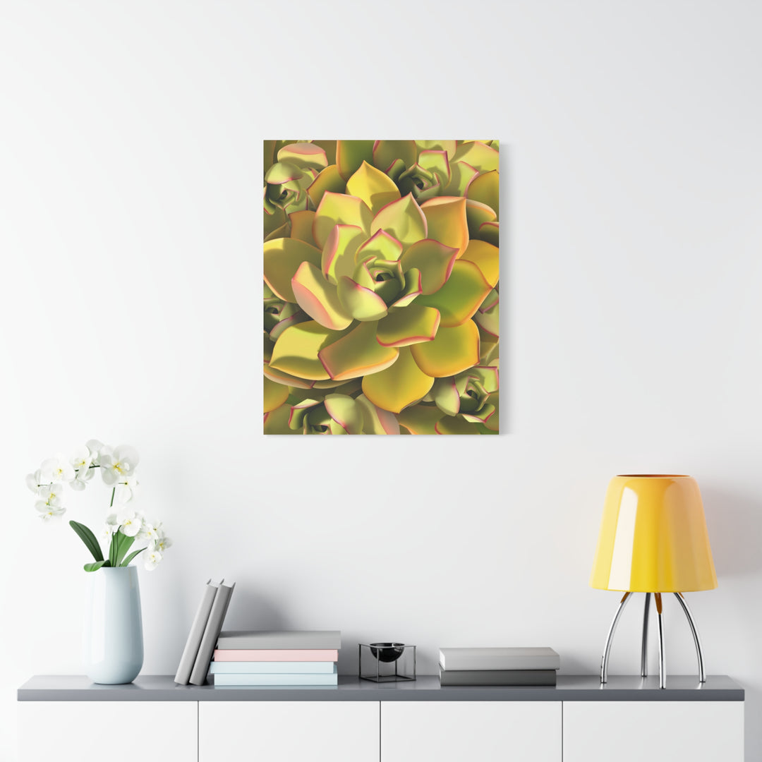 Succulent Canvas Art Vibrant Aeonium Print On Matte Canvas Wall Decor 12x18 Inches Indoor Home