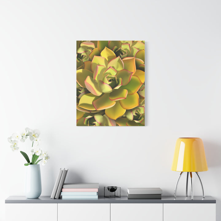 Succulent Canvas Art Vibrant Aeonium Print On Matte Canvas Wall Decor 12x18 Inches Indoor Home