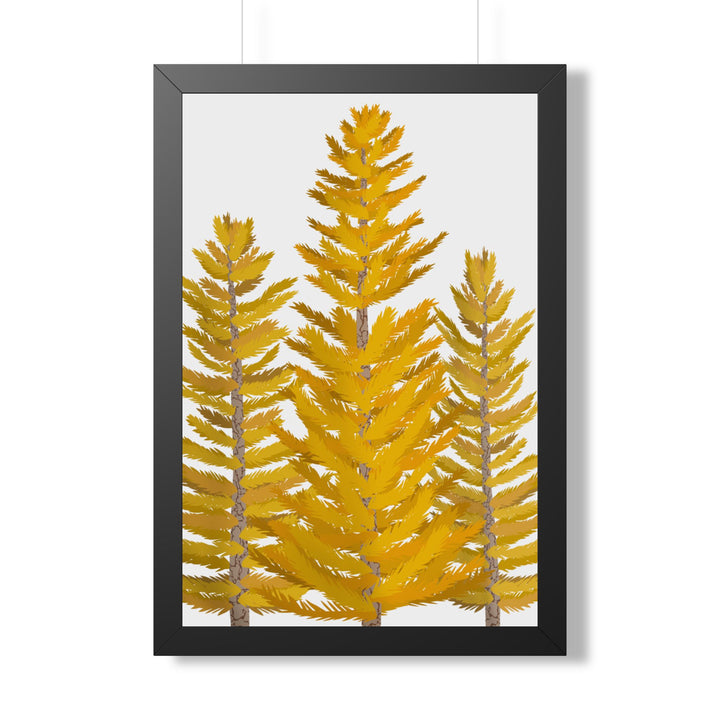 Western Larch Framed Print – Wall Art