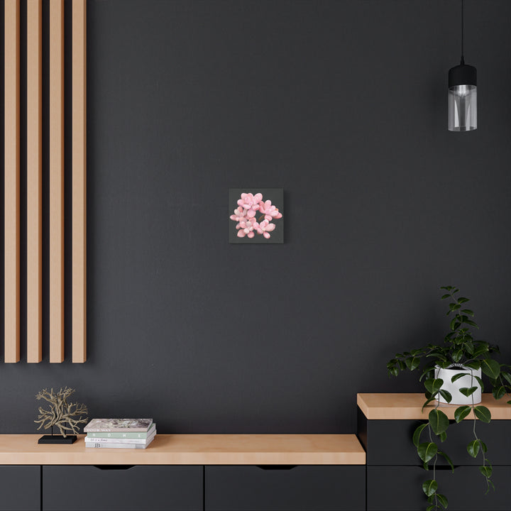 Pink Moonstone Canvas Print – Botanical Wall Art