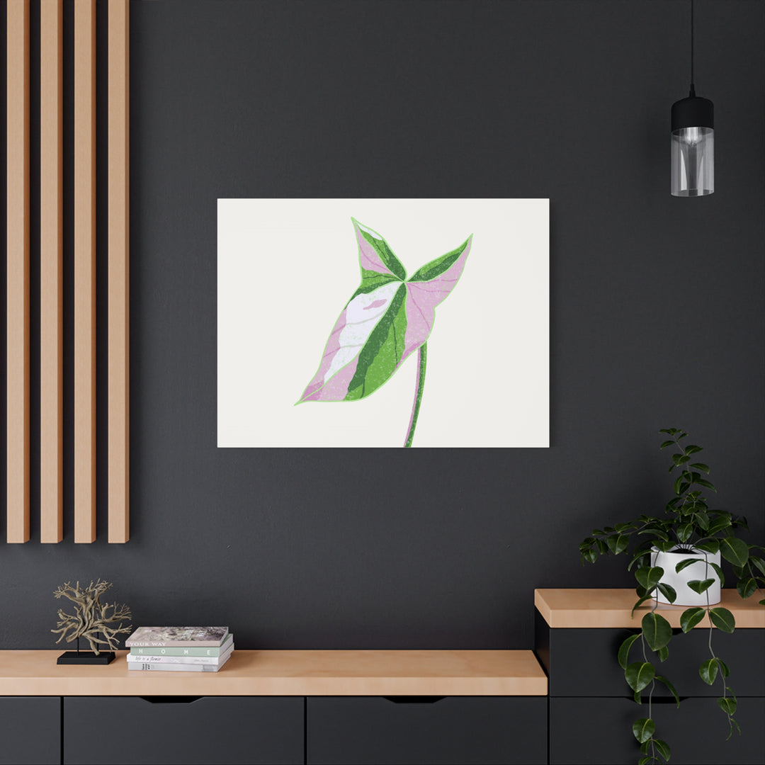 Syngonium Tricolor Canvas Print – Botanical Wall Art - The Potted Pixel