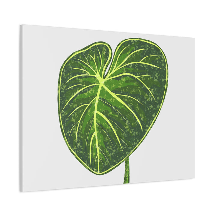 Philodendron Gloriosum Canvas Print Stretched Wall Art Botanical Leaf Print Matte Finish Gallery Wrapped Canvas