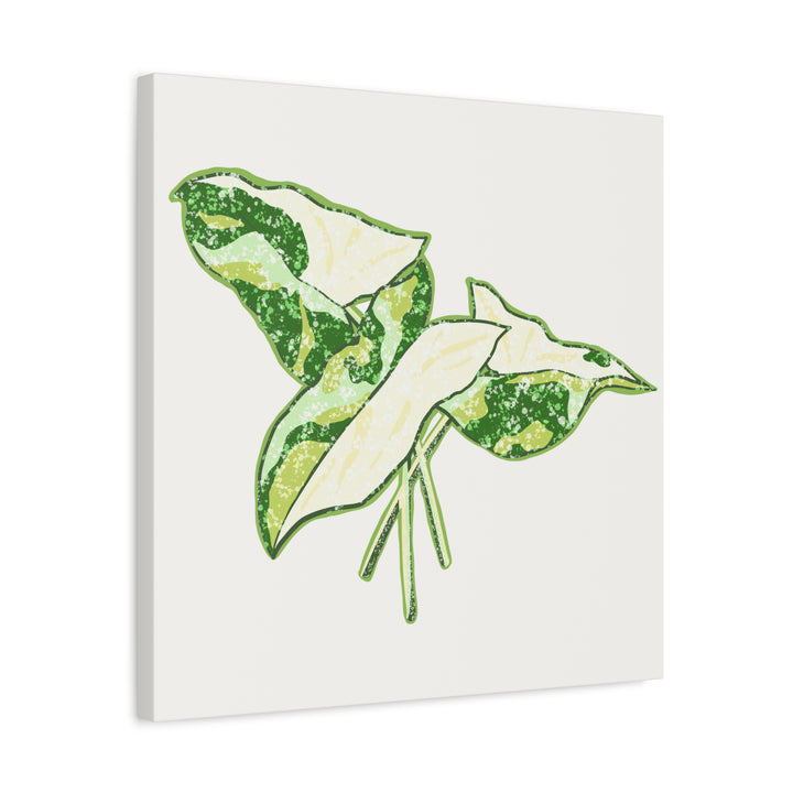 Marble Syngonium Canvas Botanical Wall Art Stretched Print On Durable Cotton Canvas Matte Finish