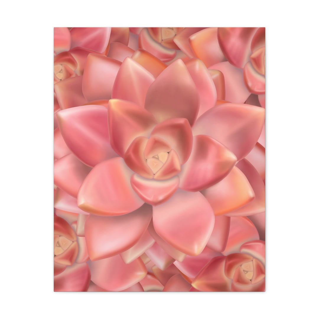 Graptosedum California Sunset Succulent Canvas Print – Botanical Wall Art - The Potted Pixel